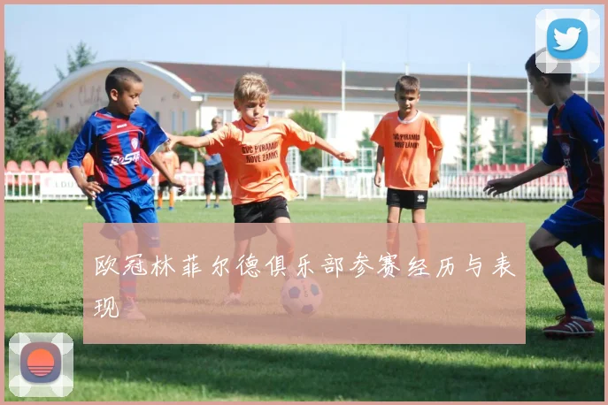 欧冠林菲尔德俱乐部参赛经历与表现