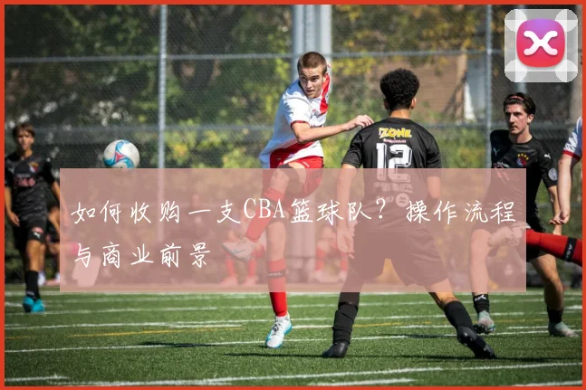 如何收购一支CBA篮球队？操作流程与商业前景