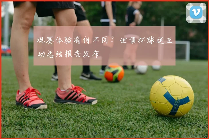 观赛体验有何不同？世俱杯球迷互动总结报告发布