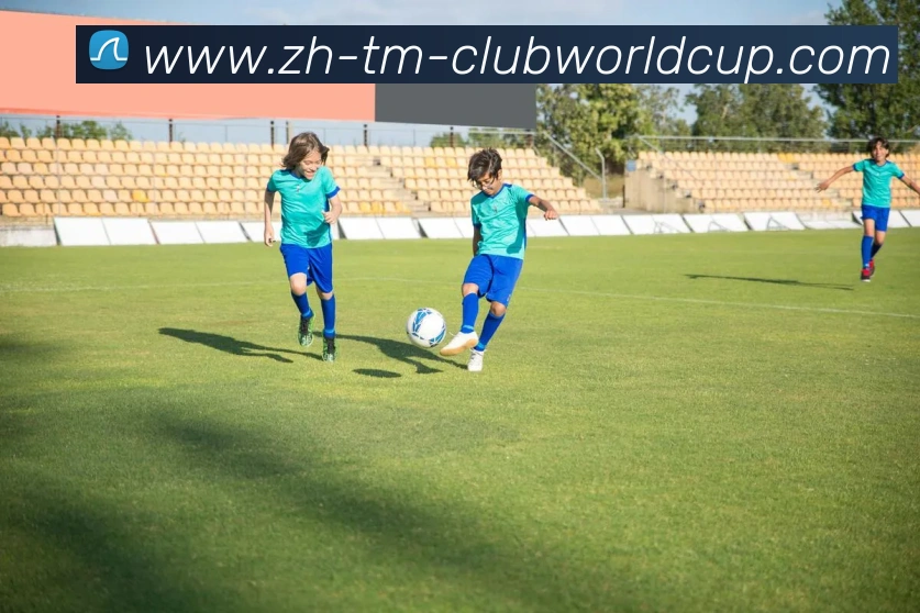 世界杯官网发展历程