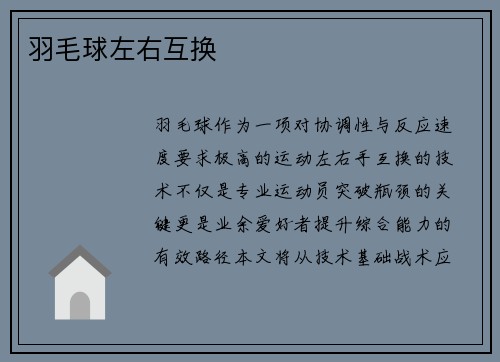 羽毛球左右互换